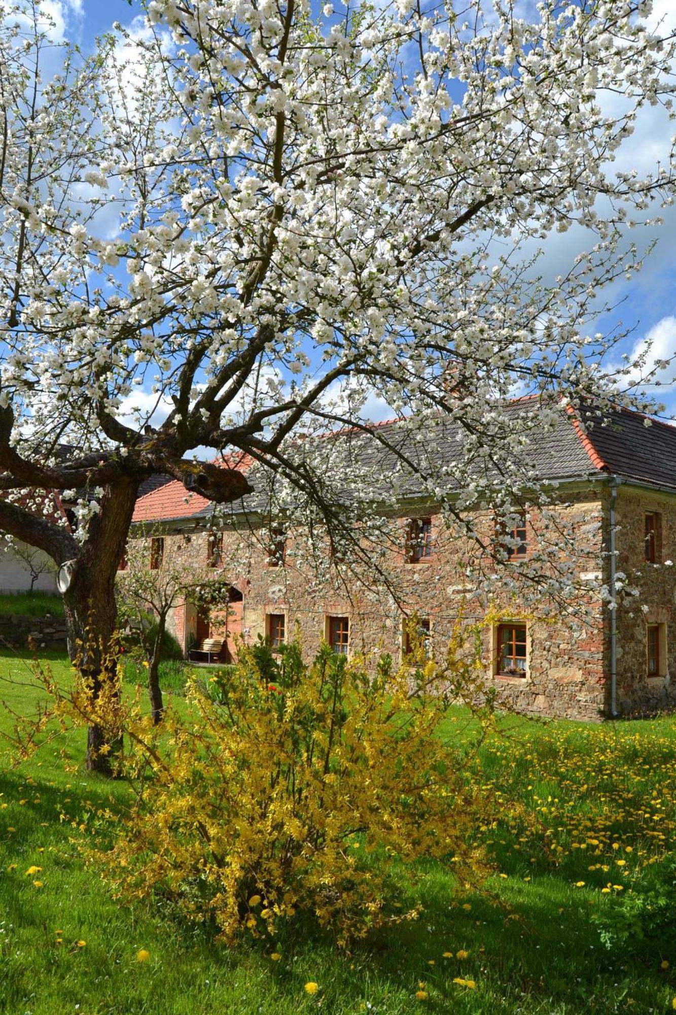 Apartamento Selsky Dvur Kájov Exterior foto
