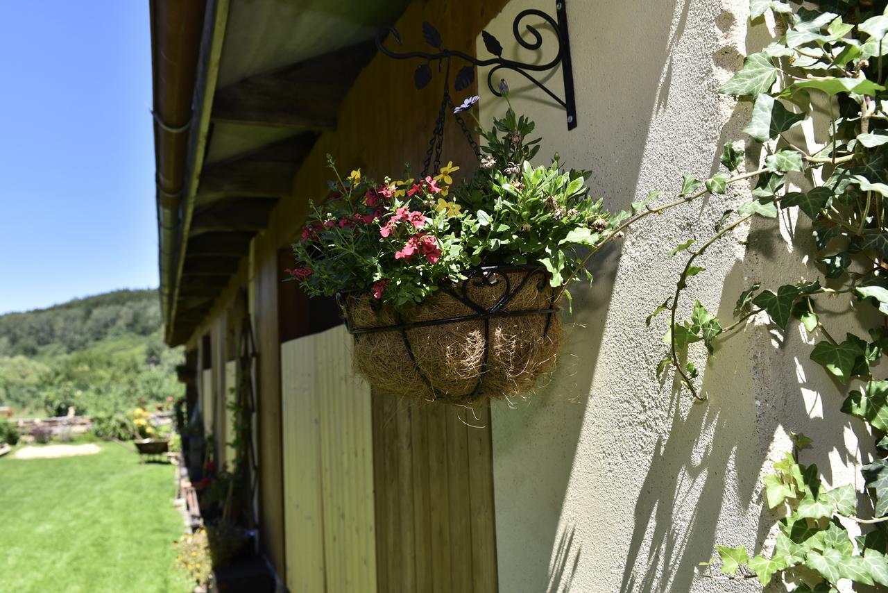 Apartamento Selsky Dvur Kájov Exterior foto